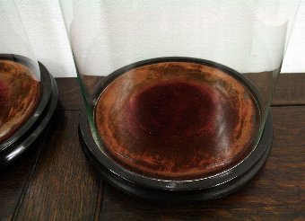 Antique Pair of Victorian Glass Domes
