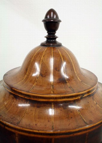 Antique George III Mahogany Urn Cutlery/Knife Box