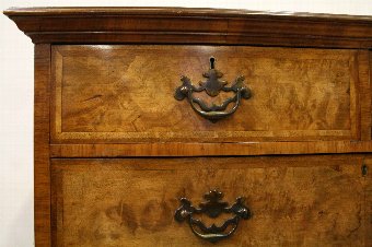 Antique Georgian Style Burr Walnut Chest on Stand
