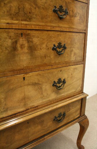 Antique Georgian Style Burr Walnut Chest on Stand