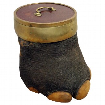 Taxidermy Elephant's Foot