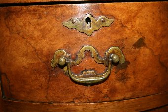 Antique Burr Walnut Kidney Shaped Desk/Dressing Table