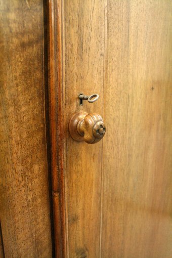 Antique Whytock & Reid Walnut 2 Door Wardrobe
