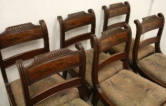 Antique Set of 6 Regency Mahogany Dining Chairs