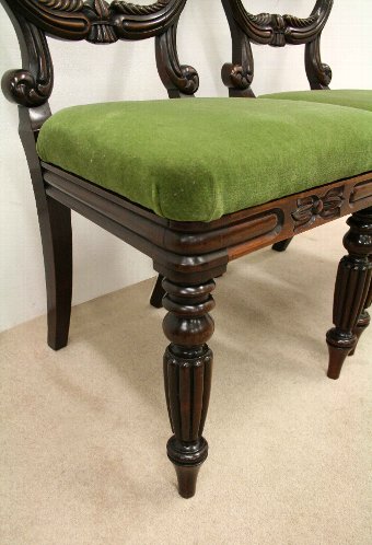 Antique Pair of William IV Rosewood Side Chairs