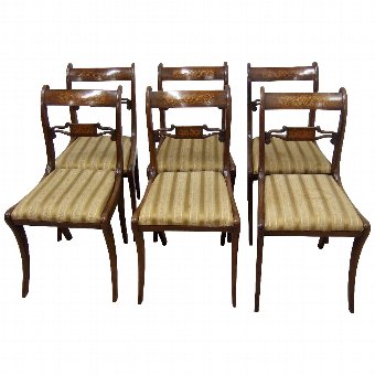 Set of 6 Regency Rosewood Dining Chairs