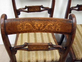 Antique Set of 6 Regency Rosewood Dining Chairs