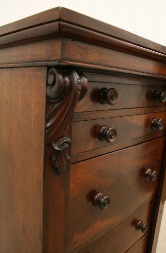 Antique Mid Victorian Mahogany Wellington Chest