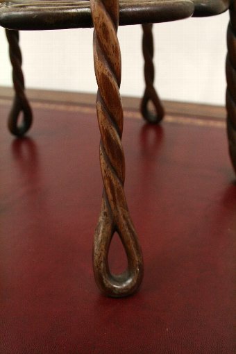 Antique Chinese Hardwood Twisted Vine Stand