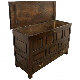 Antique Panel Fronted Oak Chest 
