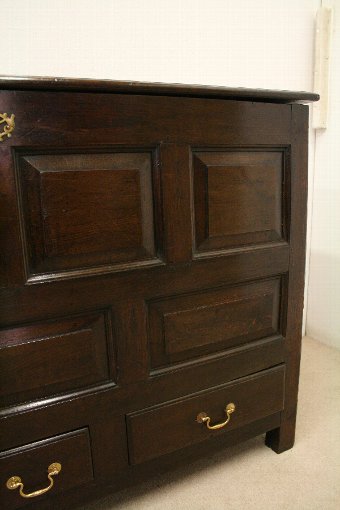 Antique Panel Fronted Oak Chest 