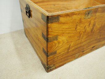 Antique Solid Camphor Wood Travelling Trunk