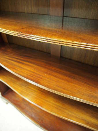Antique Serpentine Fronted Mahogany Open Bookcase
