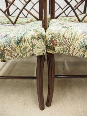 Antique Set of 6 George III Style Cockpen Armchairs