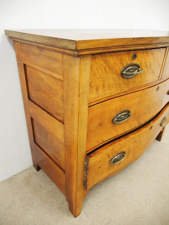 Antique Satin Birch Serpentine Chest of Drawers