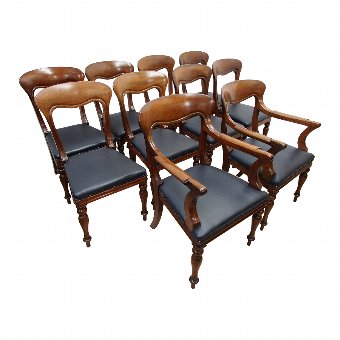 Set of 10 William IV Spanish Mahogany Dining Chairs
