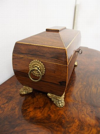 Antique Regency Rosewood and String Inlay Tea Caddy