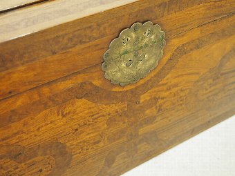 Antique Chinese Burr Wood and Camphor Kist or Trunk
