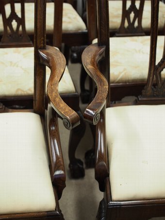 Antique Set of 14 Oak Chippendale Dining Chairs