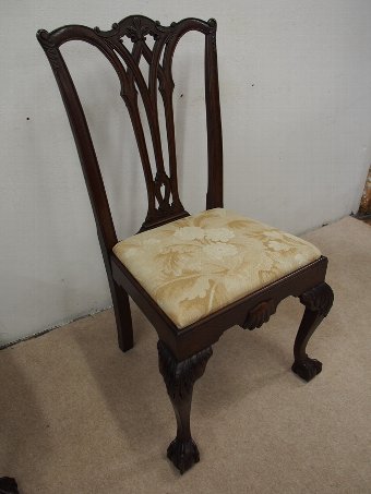 Antique Set of 14 Oak Chippendale Dining Chairs