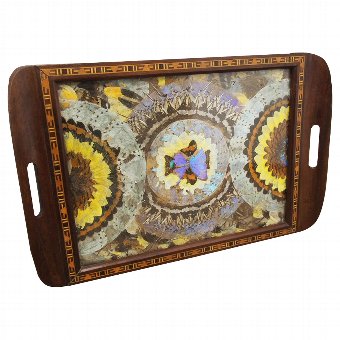 Brazilian Butterfly Tray
