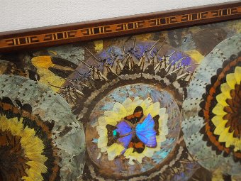 Antique Brazilian Butterfly Tray