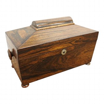  Late George III Rosewood Sarcophagus Tea Caddy