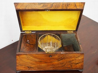 Antique Large William IV Rosewood Tea Caddy