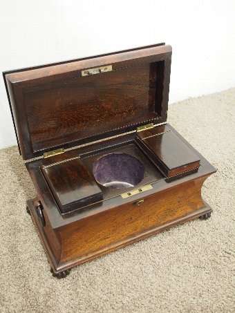 Antique Late George IV Rosewood Sarcophagus Tea Caddy