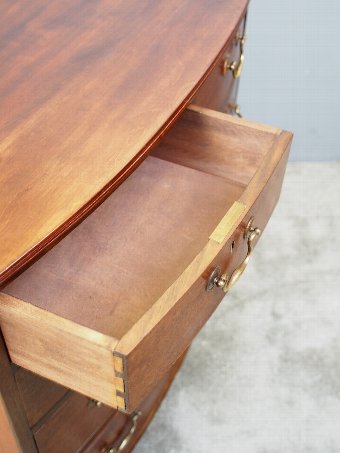 Antique Neat Mahogany Bow Front Chest of Drawers
