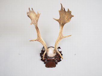 Antique Pair of Antlers on Plaque