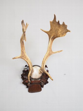 Antique Pair of Antlers on Plaque