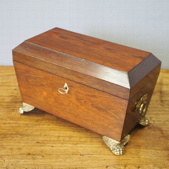 George IV Rosewood Tea Caddy