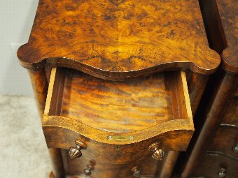 Antique Pair of Victorian Burr Walnut Bedsides or Lockers