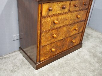 Antique Mid Victorian Burr Walnut Chest of Drawers