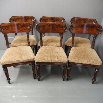 Set of 6 William IV Mahogany Dining Chairs