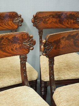 Antique Set of 6 William IV Mahogany Dining Chairs