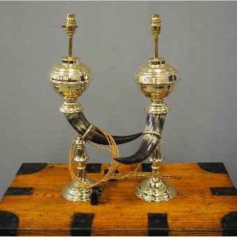 Pair of Bovine Horn and Brass Lamps