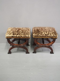 Antique Pair of Rosewood and Leopard Print Top Stools