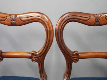 Antique Set of 4 William IV Carved Mahogany Dining Chairs
