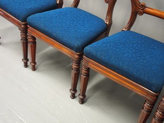 Antique Set of 4 William IV Carved Mahogany Dining Chairs