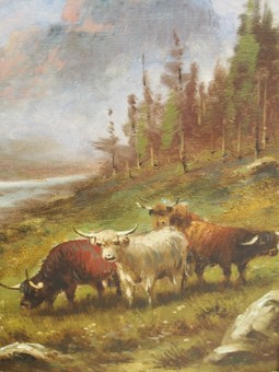 Antique Pair of Oil Paintings of Highland Cattle, by A Taylor