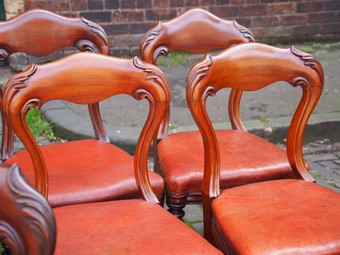 Antique Set of 14 Scottish Mahogany Dining Chairs