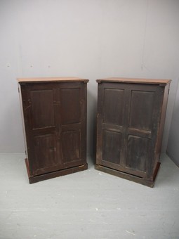 Antique Pair of Victorian Walnut and Burr Collectors Cabinets