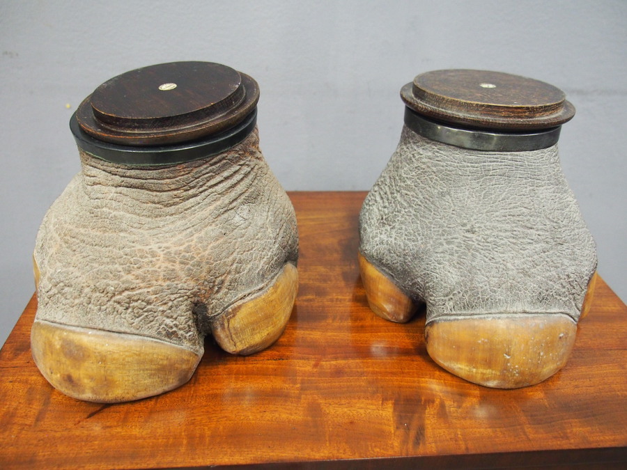 Antique Pair of Zoomorphic Humidors by Rowland Ward, London