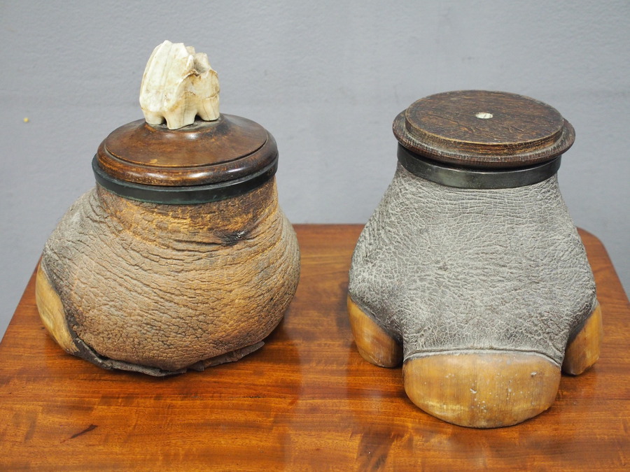 Antique Pair of Zoomorphic Humidors by Rowland Ward, London