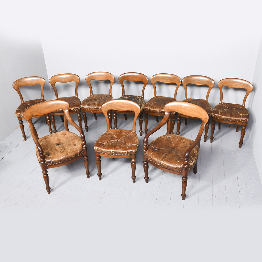 Antique Large Set of Scottish Dining Chairs