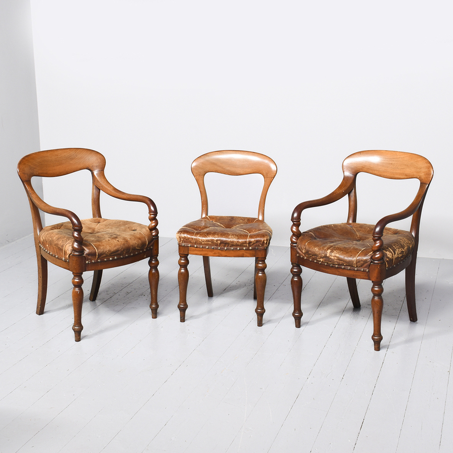 Antique Large Set of Scottish Dining Chairs