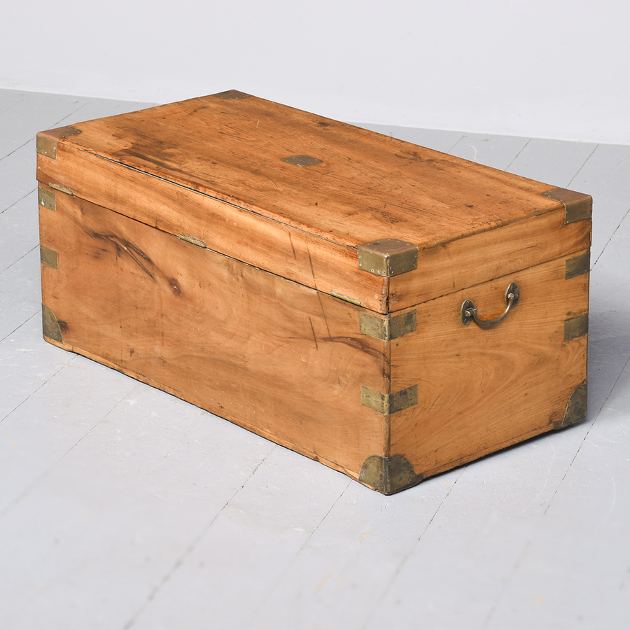 Antique Victorian Camphorwood Campaign Trunk with a Lovely Colour and Patina