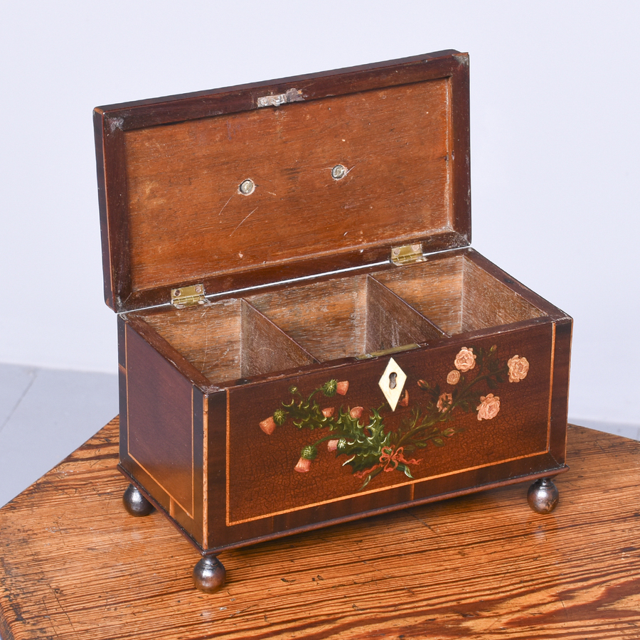 Antique Rare George III Hand Painted and Inlaid Mahogany Tea Caddy